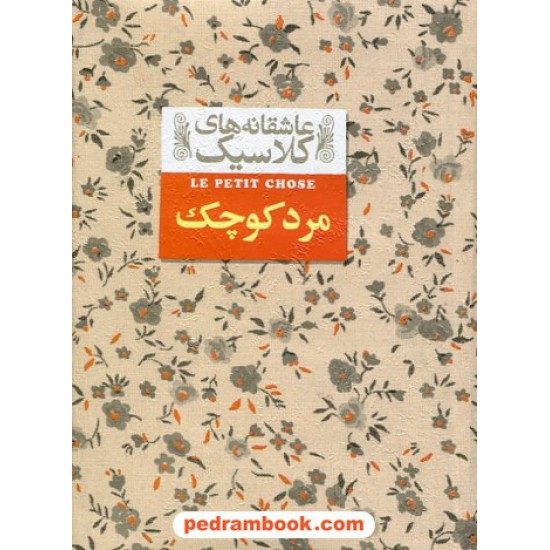 خرید کتاب مرد کوچک (عاشقانه های کلاسیک) / آلفونس دوده / محمد گودرزی / افق کد کتاب در سایت کتاب‌فروشی کتابسرای پدرام: 28327