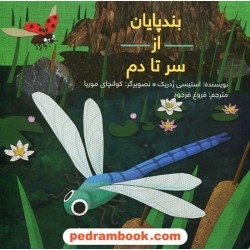 بندپایان از سر تا دم / استیسی ردریک / فروغ فرجود / فاطمی