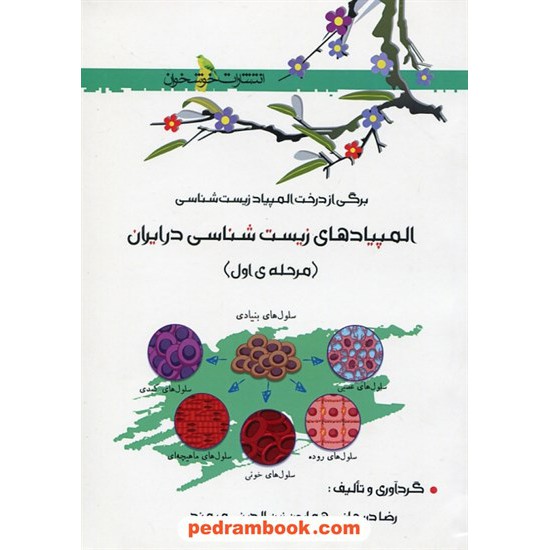 خرید کتاب برگی از درخت المپیاد زیست شناسی: المپیاد های زیست شناسی در ایران (مرحله ی اول) / خوشخوان کد کتاب در سایت کتاب‌فروشی کتابسرای پدرام: 28939