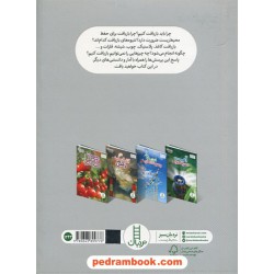 بازیافت و بازهم بازیافت / عباس زندباف / نردبان سبز / انتشارات فنی ایران