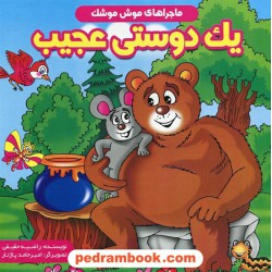 ماجراهای موش موشک: یک دوستی عجیب / راضیه حقیقی / ایساب