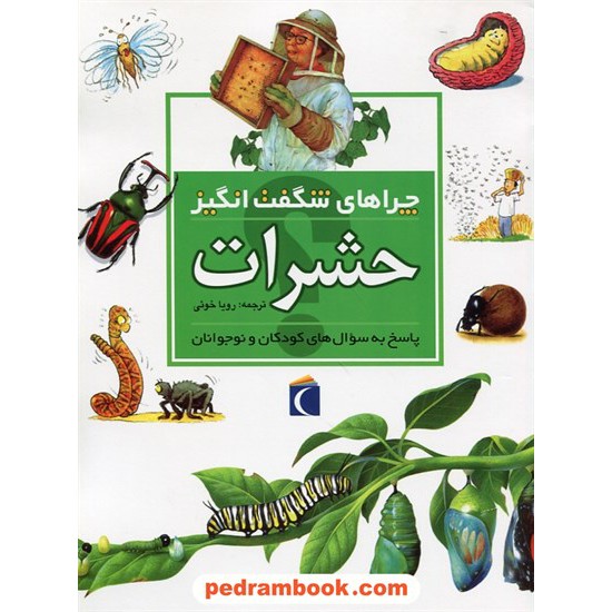 خرید کتاب چراهای شگفت انگیز: حشرات / محراب قلم کد کتاب در سایت کتاب‌فروشی کتابسرای پدرام: 31577