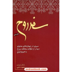 سفر روح: سیری در جهان های معنوی دیدار از طبقات مختلف برزخ با هیپنوتیزم / مایکل نیوتن / نیکو نشر