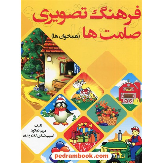 خرید کتاب فرهنگ تصویری صامت ها (همخوان ها) / مریم دریانورد (آسیب شناس گفتار و زبان) / مولفان فرهیخته کد کتاب در سایت کتاب‌فروشی کتابسرای پدرام: 32687