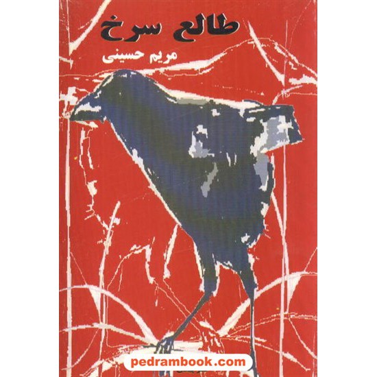 خرید کتاب طالع سرخ مریم حسینی پیکان کد کتاب در سایت کتاب‌فروشی کتابسرای پدرام: 3998