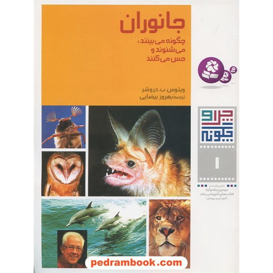خرید کتاب چرا و چگونه 1: جانوران / قدیانی کد کتاب در سایت کتاب‌فروشی کتابسرای پدرام: 4153
