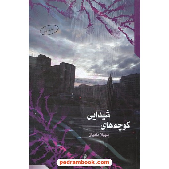 عکس کتاب کوچه های شیدایی سهیلا بامیان البرز خرید کتاب کوچه های شیدایی سهیلا بامیان البرز کد کتاب در سایت کتابفروشی کتابسرای پدرام: 4474