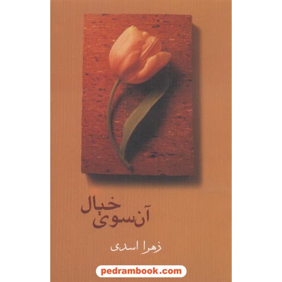 خرید کتاب آن سوی خیال / زهرا اسدی / شادان کد کتاب در سایت کتاب‌فروشی کتابسرای پدرام: 4521