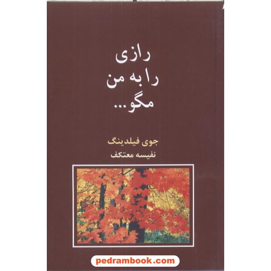 خرید کتاب رازی را به من مگو... / جوی فیلدینگ / نفیسه معتکف / شادان کد کتاب در سایت کتاب‌فروشی کتابسرای پدرام: 4527