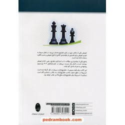 استراتژی تعویض در عمل / ویکتور بریوزین / پروانه هل عطایی / شباهنگ