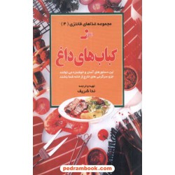 کباب های داغ غذاهای فانتزی 4 شریف نسل نو اندیش