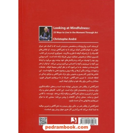 خرید کتاب ذهن آگاهی از رهگذر هنر: 25 شیوه برای زیستن در زمان حال به کمک هنر / کریستوف آندره / ذهن آویز کد کتاب در سایت کتاب‌فروشی کتابسرای پدرام: 5381