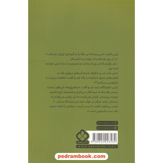 خرید کتاب رابین هود / هوارد پایل / باز نویسی: مارک تایلر / صدیقه ابراهیمی / نشر پنجره کد کتاب در سایت کتاب‌فروشی کتابسرای پدرام: 5956