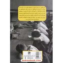 ذهن آگاهی در کلاس (100 ایده برای معلمان دبستان) / تمی پرینس / زهرا لطفی / نشر پیله