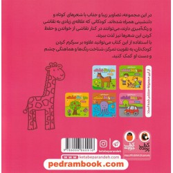 دنیا با رنگ قشنگه: جنگل سبز / شعر و رنگ آمیزی / کتاب پرنده