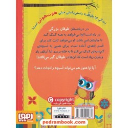 دفترچه خاطرات جغد 8: اوا و ابچه ی گم شده / ربکا الیوت / سیدنوید سیدعلی اکبر / هوپا