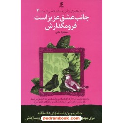 شما عظیم تر از آنی هستید که می اندیشید 4 ( جانب عشق عزیز است فرو مگذارش ) / مسعود لعلی / بهار سبز