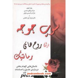 سوپ جوجه برای روح های رمانتیک سایه گستر
