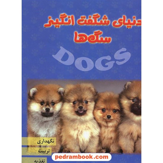 خرید کتاب دنیای شگفت انگیز سگها: نگهداری، تغذیه، تربیت و نژاد / جاجرمی کد کتاب در سایت کتاب‌فروشی کتابسرای پدرام: 6981
