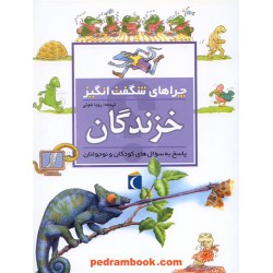 چراهای شگفت انگیز: خزندگان / محراب قلم
