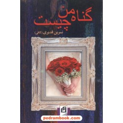 گناه من چیست / نسرین قدیری / نشر آسیم