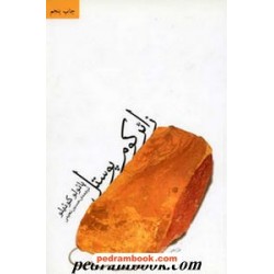 زائر کوم پوستل / پائولو کوئلیو / حسین نعیمی / نشر ثالث