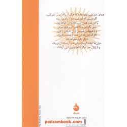ساحره ی سرگردان: 10 داستان کوتاه از ری برادبری / پرویز دوایی / نشر ماهی