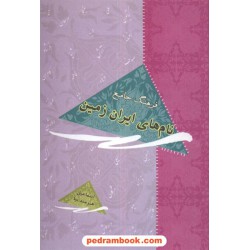 فرهنگ جامع نام های ایران زمین هنرمند نیا سایه گستر