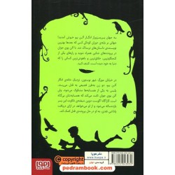 ادگار آلن پوی جوان 1: راز جنایت خیابان مورگ / کوکا کانالس / سعید متین / نشر هوپا