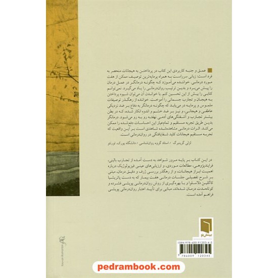 خرید کتاب دگرگونی زندگی ها / تحولی در روان درمانی پویشی / دیوید مالان - پاتریشا کاگلین دلاسلوا / علیرضا طهماسب / بینش نو کد کتاب در سایت کتاب‌فروشی کتابسرای پدرام: 8101