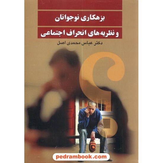 خرید کتاب بزهکاری نوجوانان و نظریه های انحراف اجتماعی / عباس محمدی اصل / نشر علم کد کتاب در سایت کتاب‌فروشی کتابسرای پدرام: 8517
