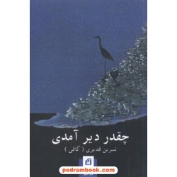 چقدر دیر آمدی / نسرین قدیری / نشر آسیم