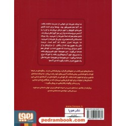 آبنبات چوبی آویزان و هویج های سرگردان / سیدنوید سیدعلی اکبر / نشر هوپا