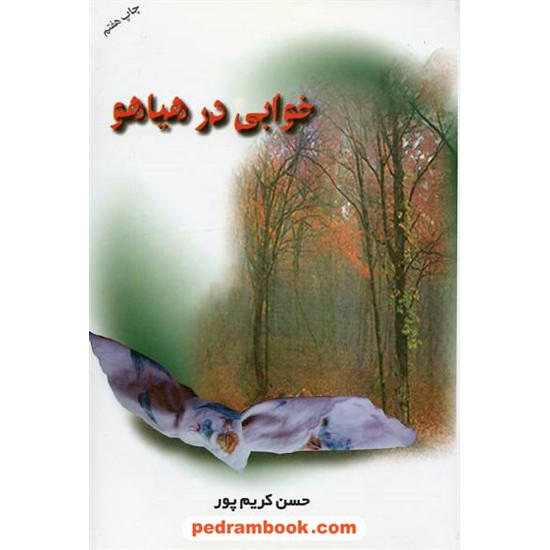 خرید کتاب خوابی در هیاهو / حسن کریم پور / نشر اوحدی کد کتاب در سایت کتاب‌فروشی کتابسرای پدرام: 8849