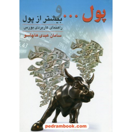 خرید کتاب پول... بیشتر از پول: راهنمای کاربردی بورس / سامان عبدی هاچاسو / نشر چالش کد کتاب در سایت کتاب‌فروشی کتابسرای پدرام: 9035