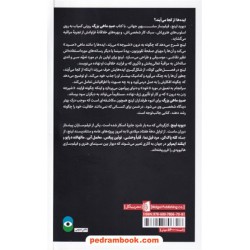 صید ماهی بزرگ: مراقبه، هوشیاری و خلاقیت / دیوید لینچ / علی ظفر قهرمانی نژاد / نشر بیدگل