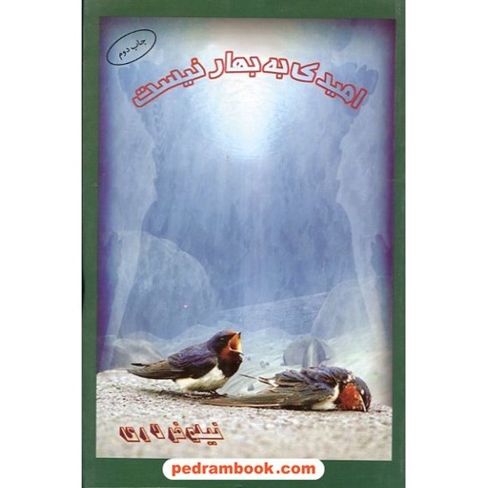 خرید کتاب امیدی به بهار نیست نیلوفر لاری البرز کد کتاب در سایت کتاب‌فروشی کتابسرای پدرام: 9945